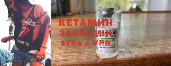 трава Ельня