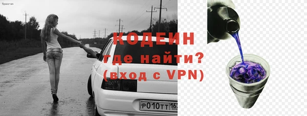 трава Ельня
