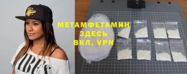 трава Ельня