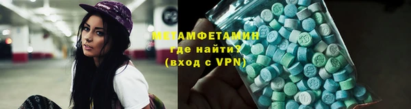 трава Ельня