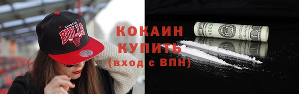 трава Ельня