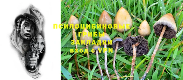 синтетический гашиш Елизово