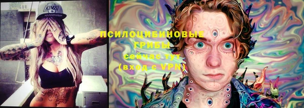 синтетический гашиш Елизово