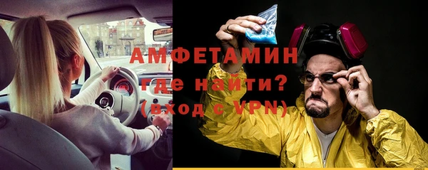 трава Ельня