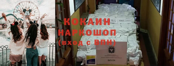 трава Ельня