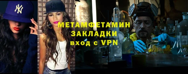 трава Ельня