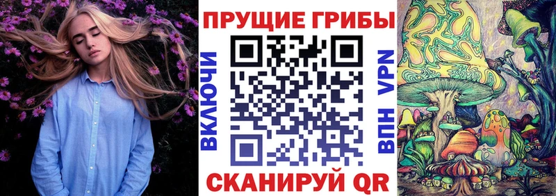Псилоцибиновые грибы Psilocybe  купить  сайты  Жердевка 